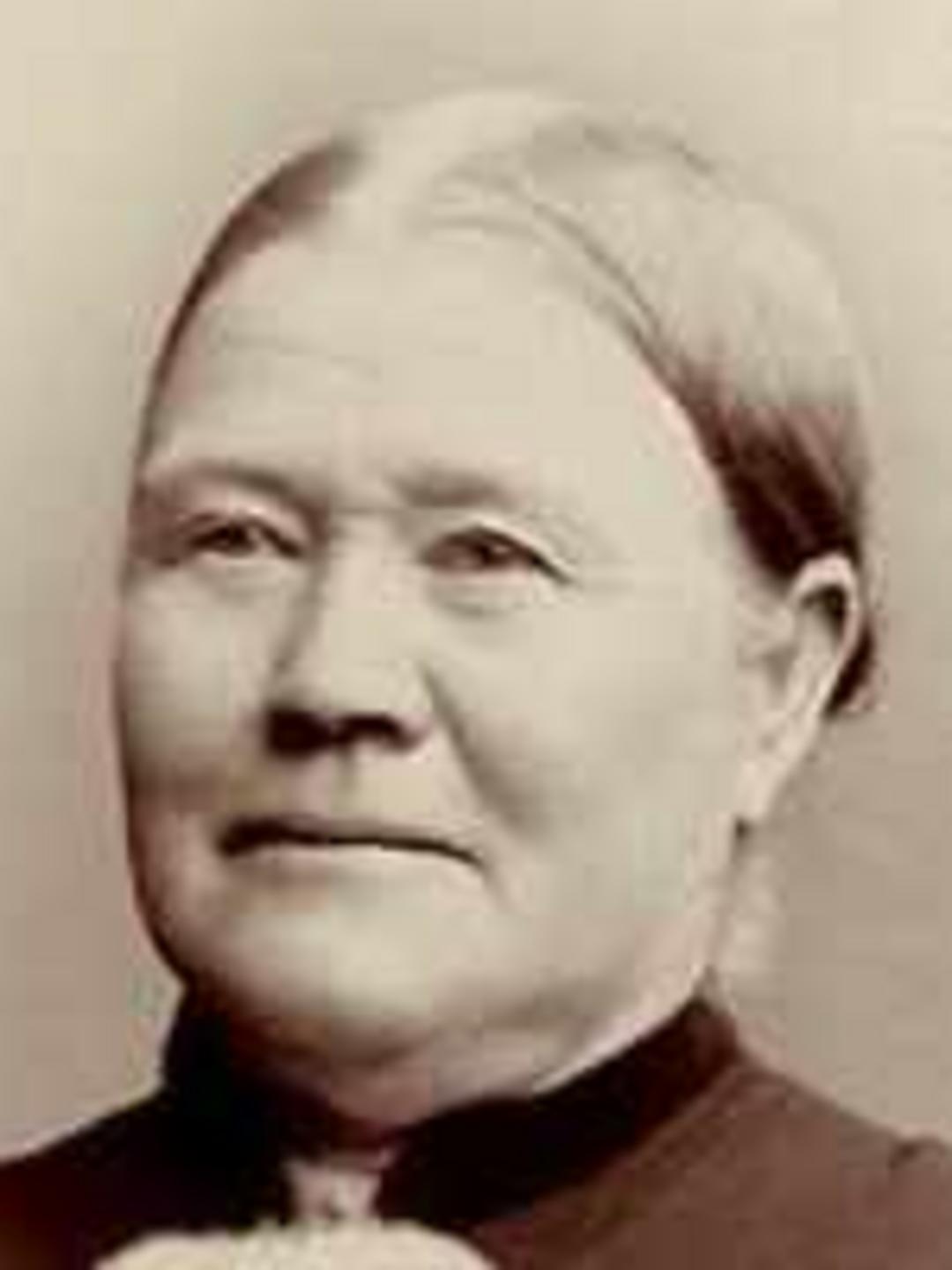 Elizabeth Chapman (1830 - 1919) Profile